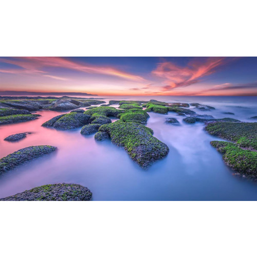 Smart TV 4K UHD LED Telewizor 50 Xiaomi TV A2 ELA4801EU-17488505