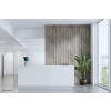 Uchwyt do tabletu na blat NEOMOUNTS DS15-625BL1-17534220