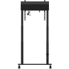 IIYAMA Podnośnik podłogowy na kołach max. 120KG MD-CAR2031-B1 sprzedaż detaliczna (Speditionsversand)-17627043