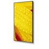 Monitor wielkoformatowy MultiSync M651-2 65 cali UHD 500cd/m2 24/7-17722634