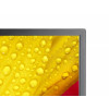 Monitor wielkoformatowy MultiSync M651-2 65 cali UHD 500cd/m2 24/7-17722642
