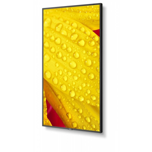 Monitor wielkoformatowy MultiSync M651-2 65 cali UHD 500cd/m2 24/7-17722634