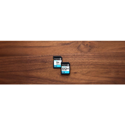 Karta pamięci Kingston Canvas Go Plus SDG4/512GB (512GB; Class U3, V30; Karta pamięci)-17804078