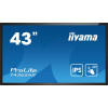 Płaski panel interaktywny Iiyama T4362AS-B1 - 108 cm (42.5") - IPS - 3840 x 2160 pikseli - 24/7