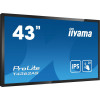 Płaski panel interaktywny Iiyama T4362AS-B1 - 108 cm (42.5