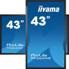Płaski panel interaktywny Iiyama T4362AS-B1 - 108 cm (42.5