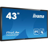 Płaski panel interaktywny Iiyama T4362AS-B1 - 108 cm (42.5