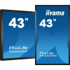 Płaski panel interaktywny Iiyama T4362AS-B1 - 108 cm (42.5