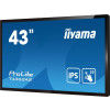 Płaski panel interaktywny Iiyama T4362AS-B1 - 108 cm (42.5