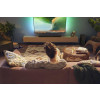 Soundbar Philips TAB6309/10 160W 2 1 Philips1 Philips-18386295