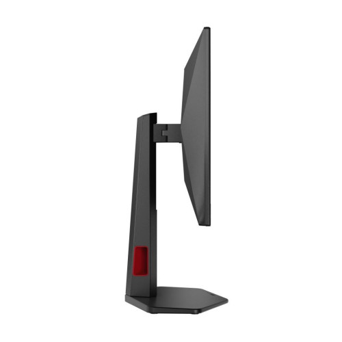 Monitor Q25G4SR 24.5 cala Fast IPS 300Hz HDMIx2 DP Pivot Głośniki-18370449