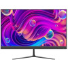 Monitor DS-D5024F2-BV2S