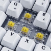 Sharkoon SKILLER SGK50 S3 PBT klawiatura Gaming USB QWERTZ Niemiecki Biały-18641375