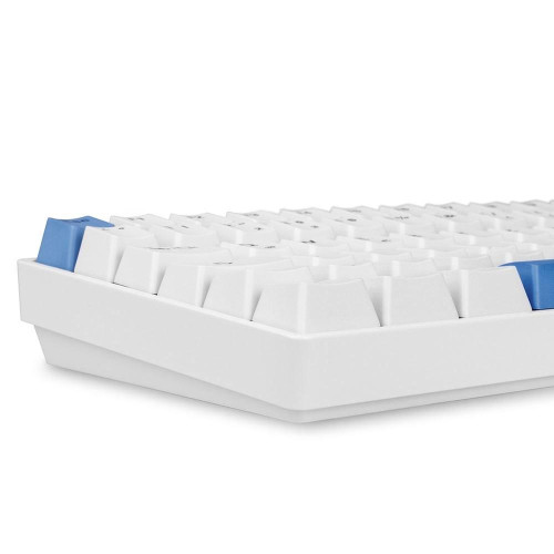 Sharkoon SKILLER SGK50 S3 PBT klawiatura Gaming USB QWERTZ Niemiecki Biały-18641377