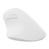 NATEC Crake 2 myszka Uniwersalne Po prawej stronie RF Wireless + Bluetooth Optyczny 2400 DPI-18936797