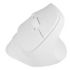 NATEC Crake 2 myszka Uniwersalne Po prawej stronie RF Wireless + Bluetooth Optyczny 2400 DPI-18936801