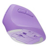 NATEC Crake 2 myszka Uniwersalne Po prawej stronie RF Wireless + Bluetooth Optyczny 2400 DPI-18936825