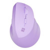 NATEC Crake 2 myszka Uniwersalne Po prawej stronie RF Wireless + Bluetooth Optyczny 2400 DPI