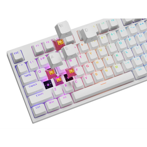 GENESIS NKG-2300 klawiatura Uniwersalne USB QWERTY Angielski Biały-18917246