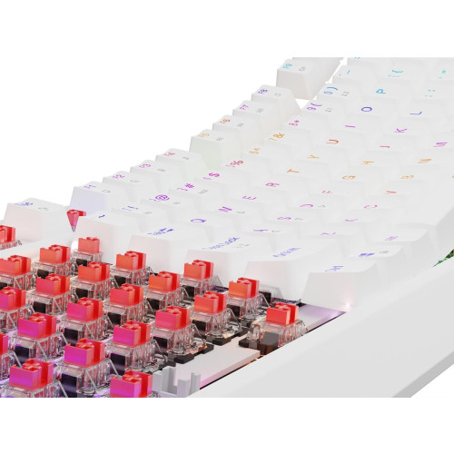 GENESIS Thor 230 TKL klawiatura Gaming USB QWERTY US English Biały-18917279