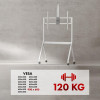 MACLEAN STAND / WÓZEK DO TV, PÓŁKA NA KAMERĘ, NA KÓŁKACH, 55-100