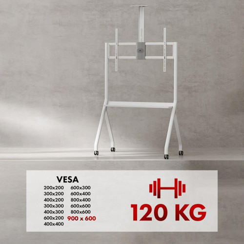 MACLEAN STAND / WÓZEK DO TV, PÓŁKA NA KAMERĘ, NA KÓŁKACH, 55-100