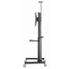 GEMBIRD STOJAK POD TELEWIZOR MOBILNY 37-70