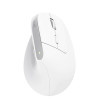 Mysz ergonomiczna TRUST Bayo+ Multidevice Wireless-20109802