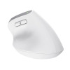 Mysz ergonomiczna TRUST Bayo+ Multidevice Wireless-20109806