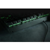 Klawiatura Razer BlackWidow V3 Tenkeyless (Green Switch) - US Layout-2039245