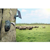 Technaxx Überwachungsset 4G PT Dome TX-290 z panelem solarnym - kamera sieciowa-20971326