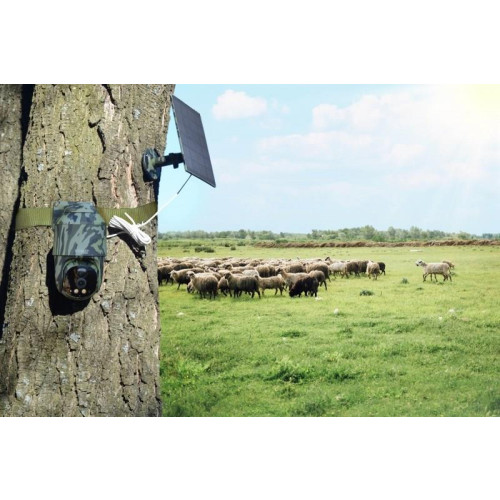 Technaxx Überwachungsset 4G PT Dome TX-290 z panelem solarnym - kamera sieciowa-20971326