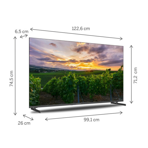 Thomson 55QA2S13 - Android TV 55 cali QLED-21008708