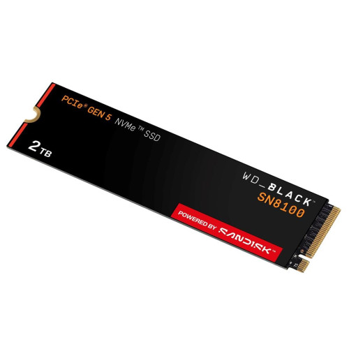 SSD WD Black SN8100 w/o HS 2TB WDS200T1X0M-21027953