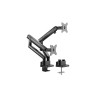 Uchwyt do biurka RaidSonic ICY BOX IB-MS314-T - regulowane podwójne ramiona-21205746