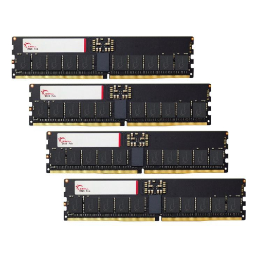 G.SKILL ZETA T5 NEO AMD DDR5 ECC-R 4X64GB 6400MHZ CL36 F5-6400R3644E64GQ4-T5N