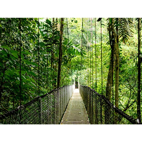 HP EliteBook 6 G1a Ryzen AI 5 340 14.0