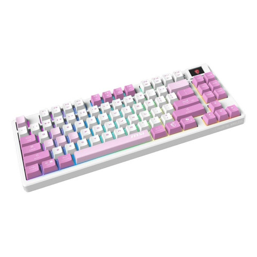 Klawiatura gamingowa VIOLET US/FORGE GK600 TKL W VIOLET MSI-21599653