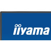 iiyama ProLite 24-calowy panel IPS Full HD z wąskimi ramkami z każdej strony i klasą energetyczną B-21654464