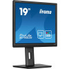 Monitor iiyama B1980S-B1 19 cali panel TN 1280x1024 250cd/m2 HDMI DP