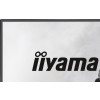 Płaski ekran - iiyama G-Master G2441HSU-B1 HD Gaming 24 cali-21655040