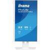 Monitor Iiyama TFT XUB2293HSU IPS 21.5''/HDMI/DP/2xUSB 2.0 - Płaski Ekran - 54.6 cm-21655429