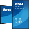 Panel Iiyama 50