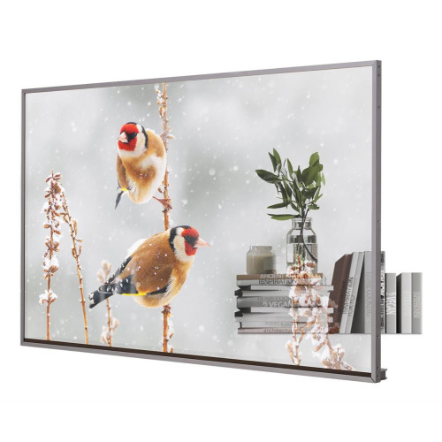 Telewizor LG OLED 55EW5P-M 55