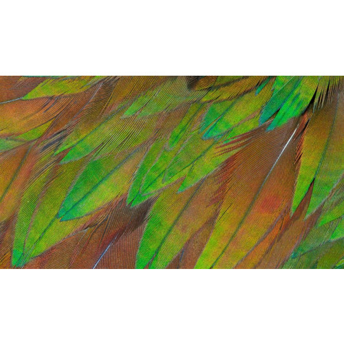 Monitor Philips 68.5cm (27.0