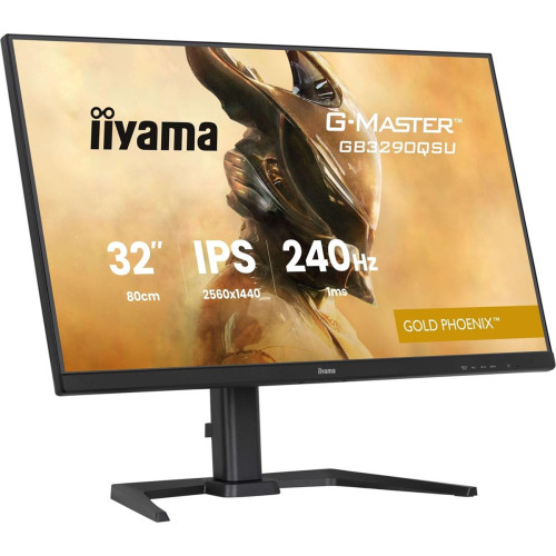 Monitor IIYAMA 80,0 cm (31,5