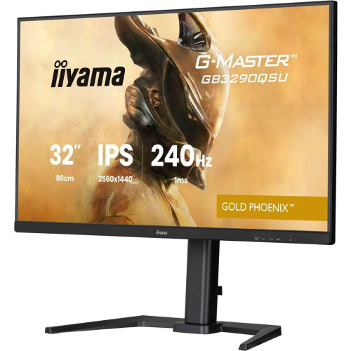 Monitor IIYAMA 80,0 cm (31,5