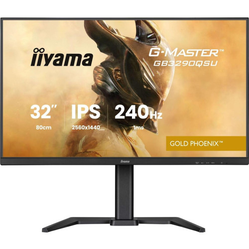 Monitor IIYAMA 80,0 cm (31,5