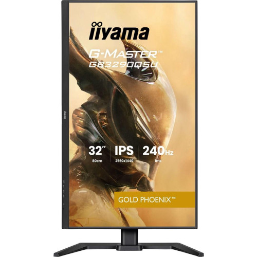 Monitor IIYAMA 80,0 cm (31,5