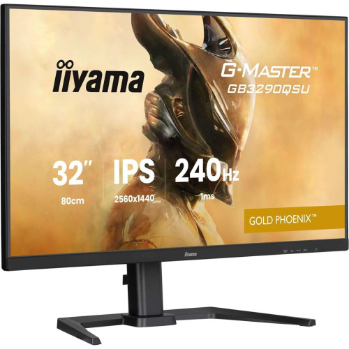 Monitor IIYAMA 80,0 cm (31,5